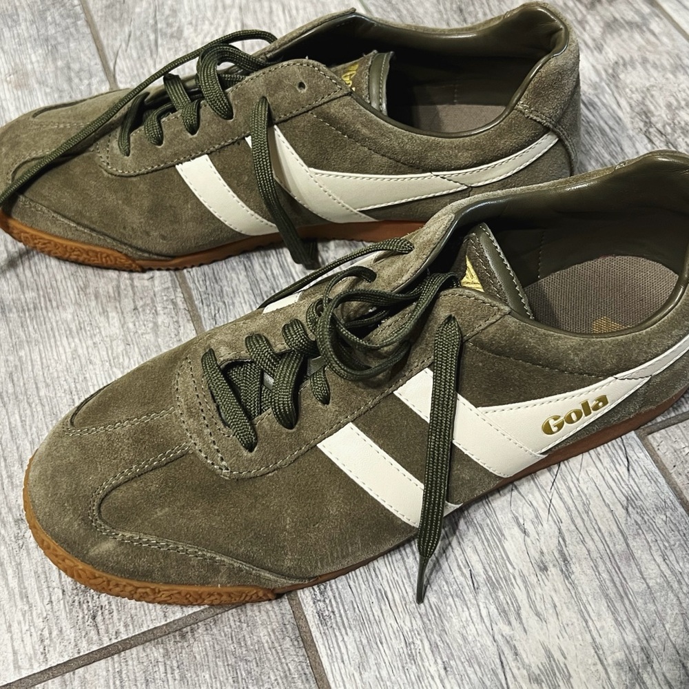 Gola Harrier